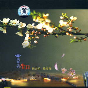 叶凯薇的合成视频
