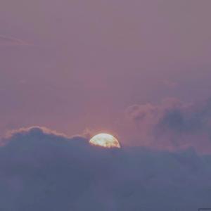 叶凯薇的合成视频
